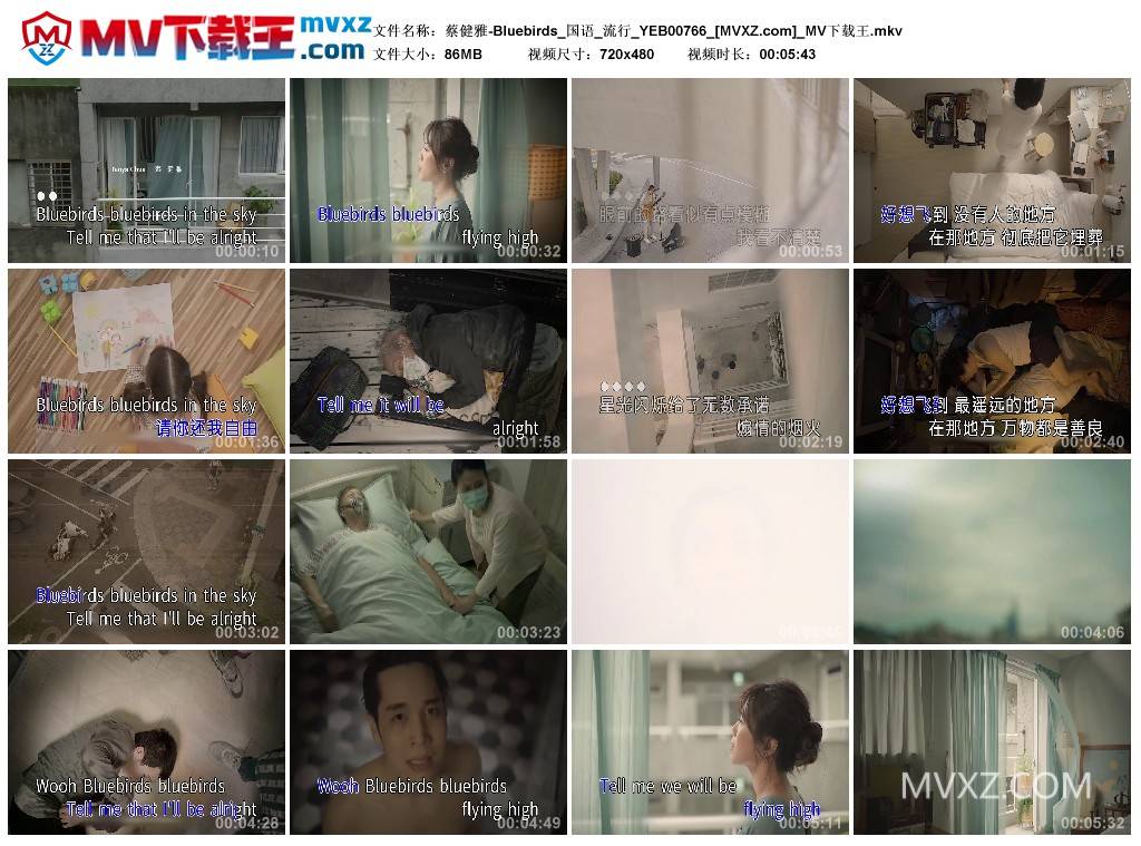 蔡健雅-Bluebirds_国语_流行_YEB00766